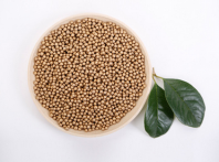 凈水器用殺菌濾料起到什么作用？